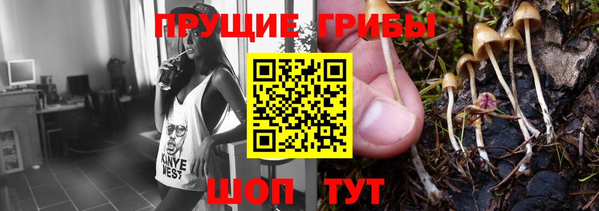 Псилоцибиновые грибы ЛСД  наркотики  Энгельс  Вход с VPN 
