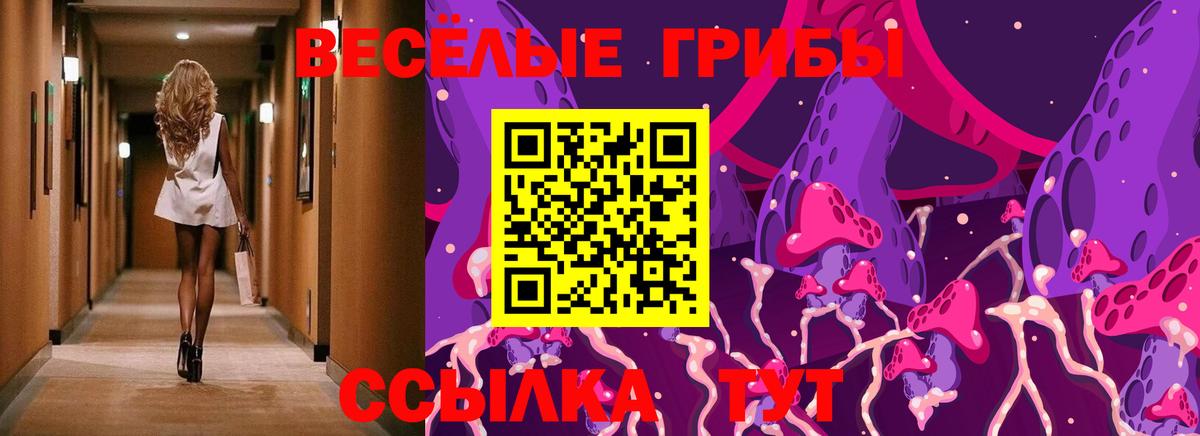 Псилоцибиновые грибы Cubensis Энгельс