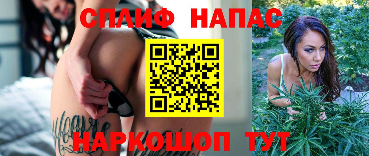 Каннабис индика Энгельс